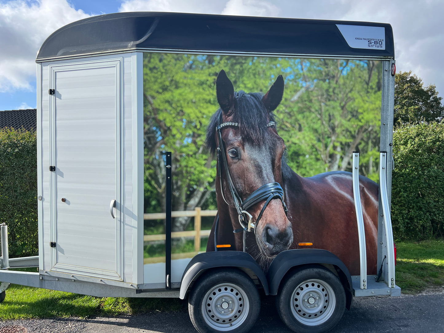 Stort billede på trailer